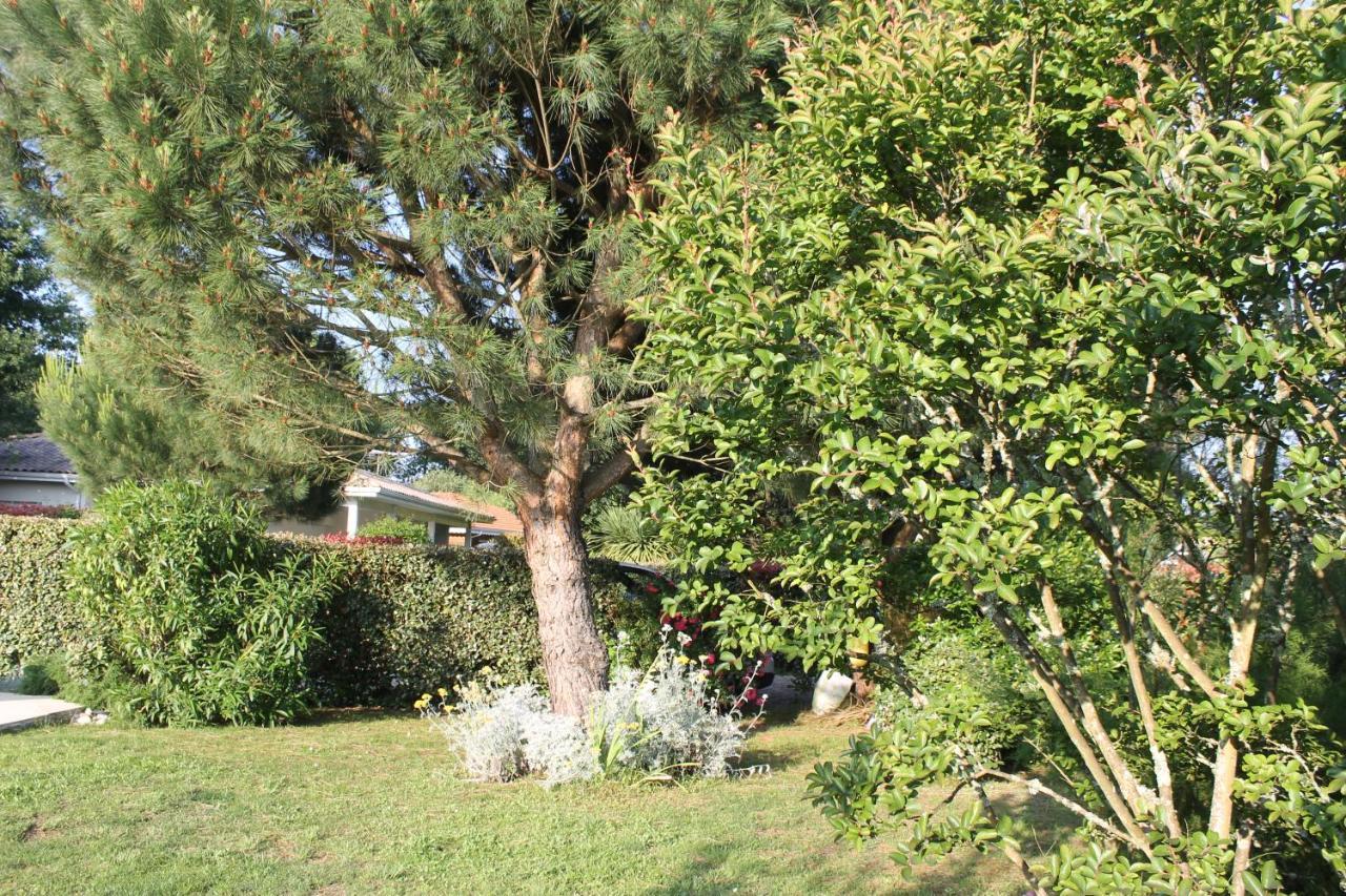 Chez Sophie 2* Lège-Cap-Ferret